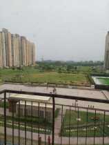 3 BHK Flat/Apartment in Noida